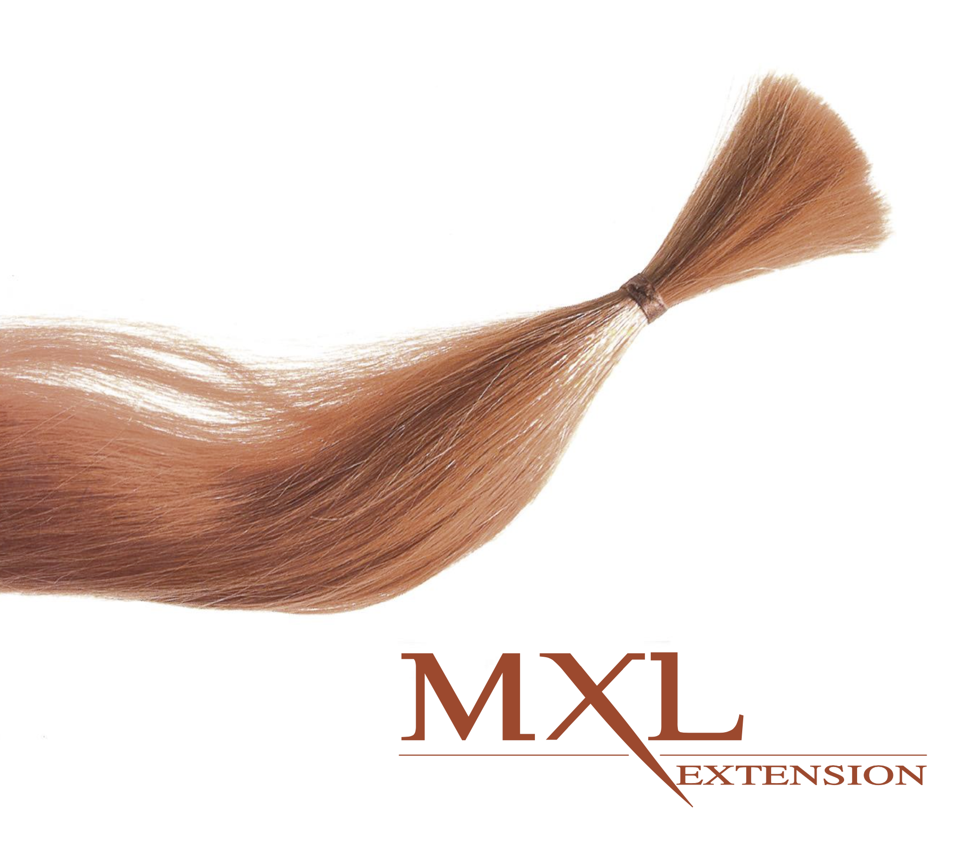 Catalogo MXL Extension 2023